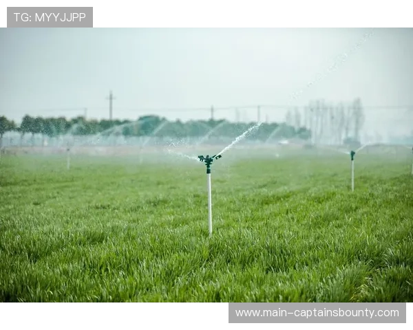 伯纳乌草皮更换完成,引入智能灌溉系统 伯纳乌草皮更换完成,引入智能灌溉系统